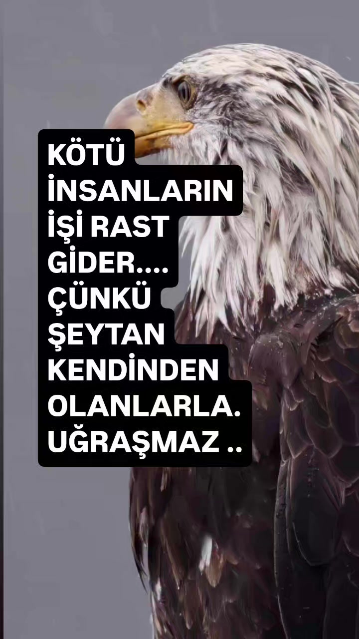 @__İREM__