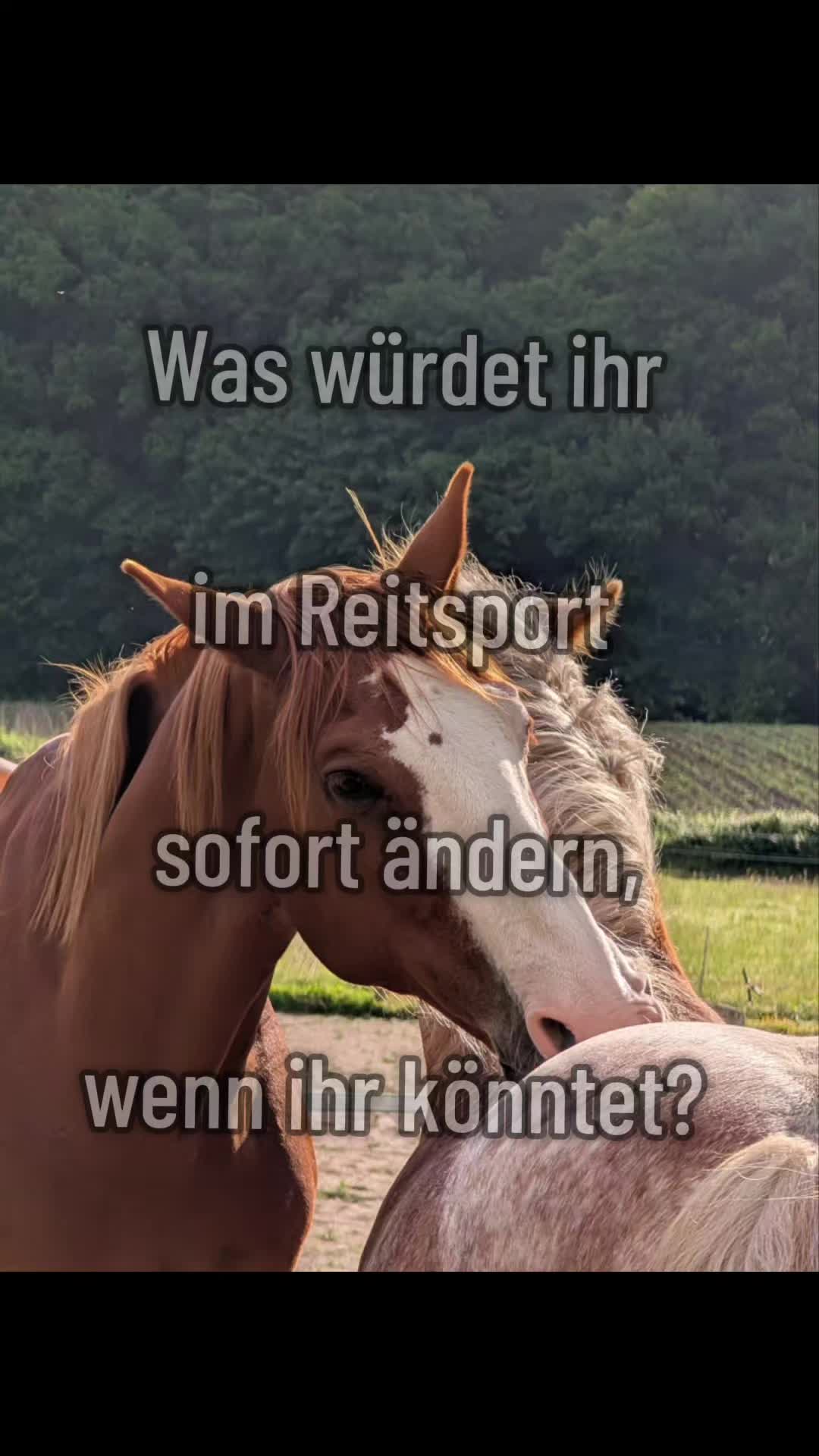 @Fellschnute
