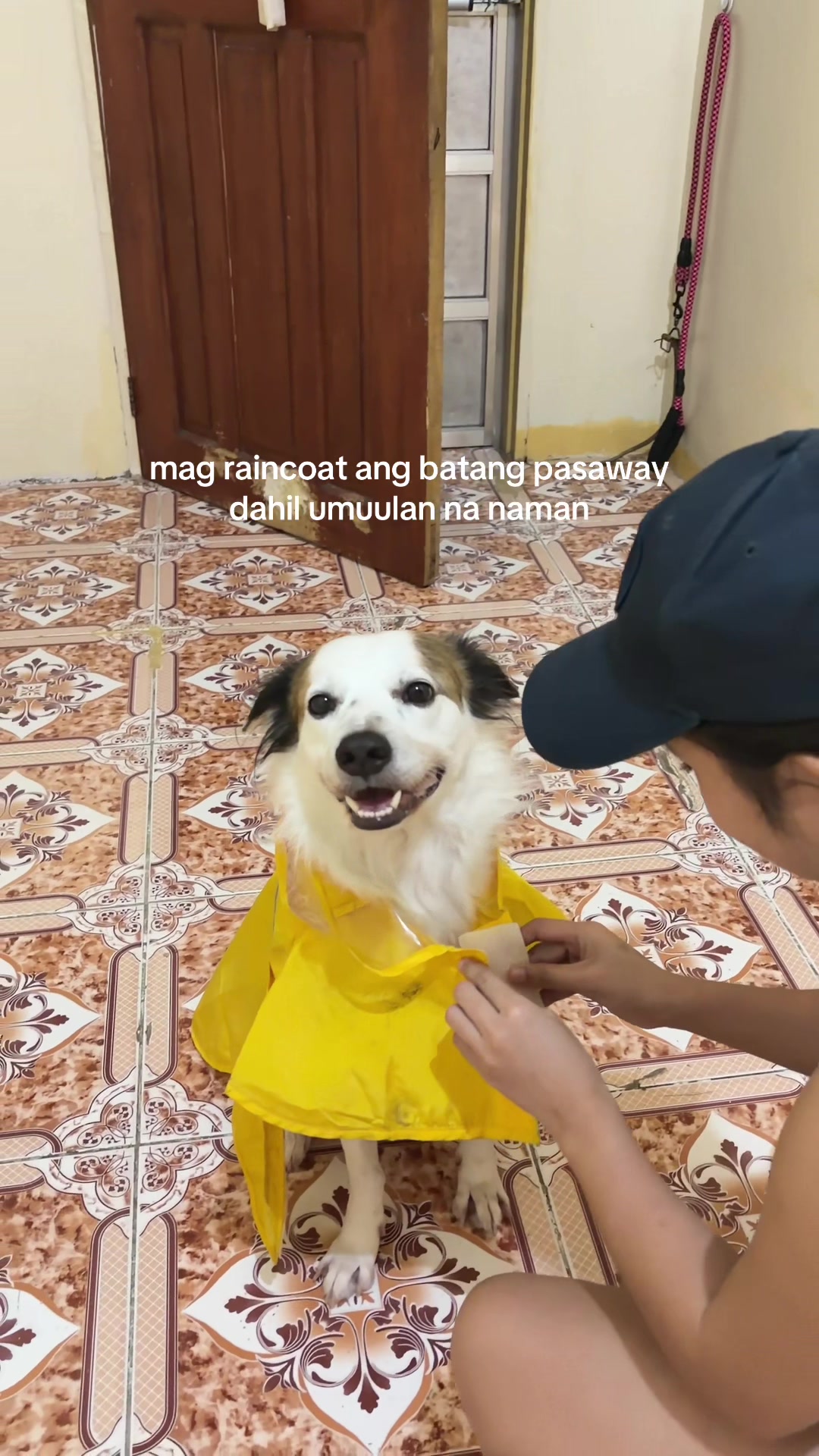 @Ilai