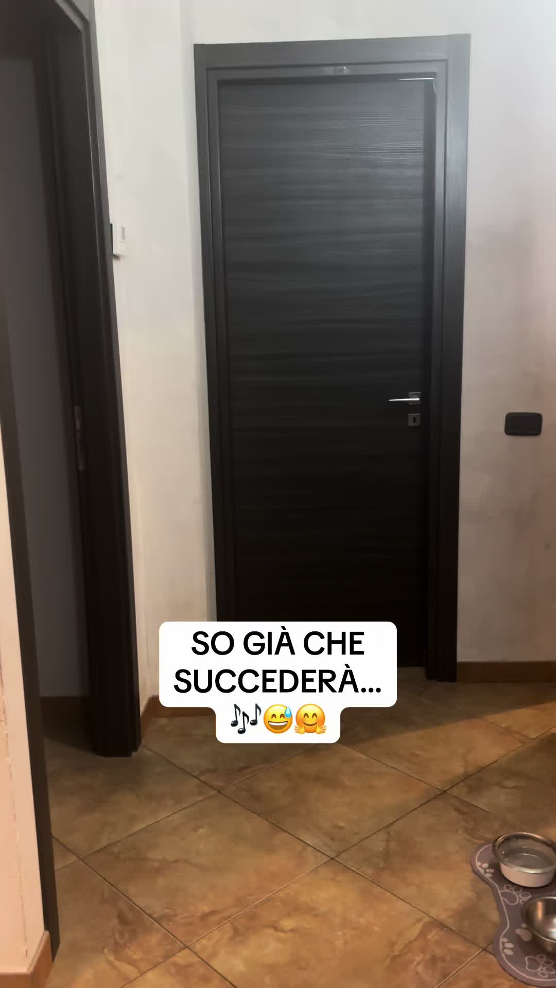 @SuperViola