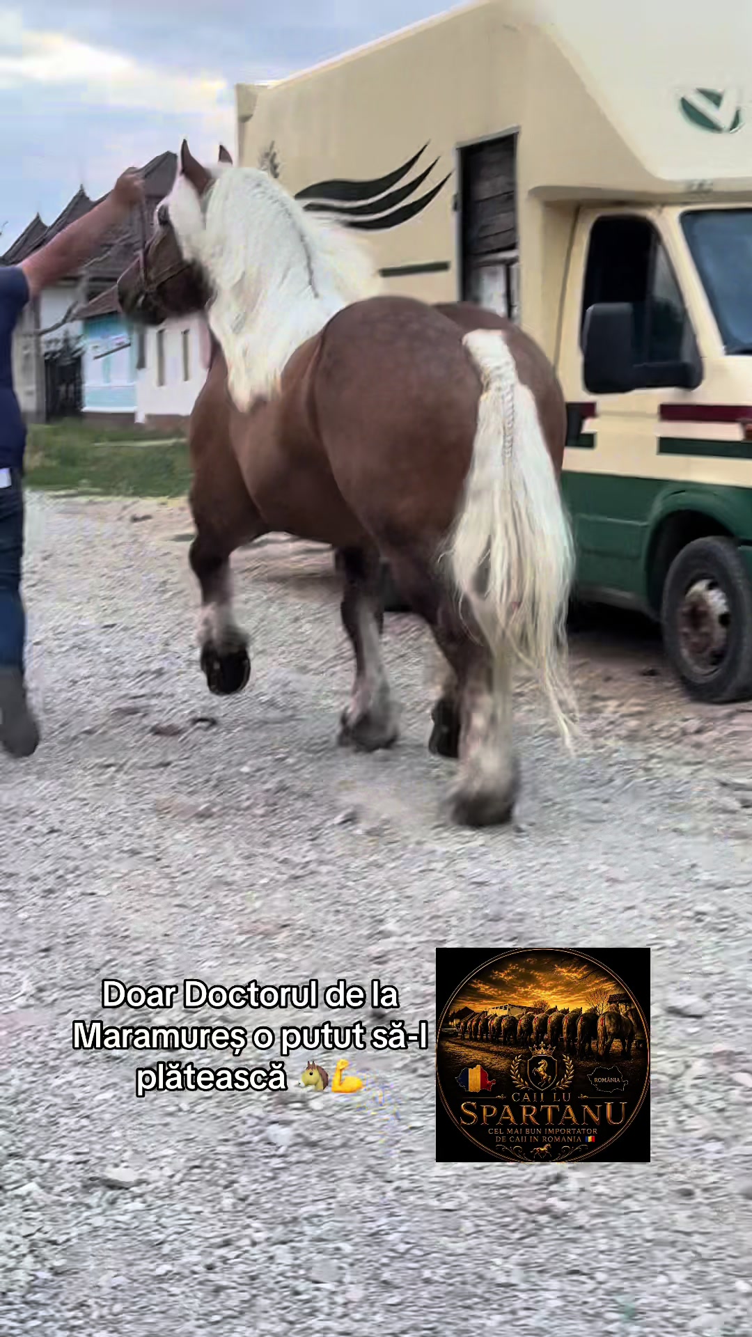 @🐴Spartanu🐴