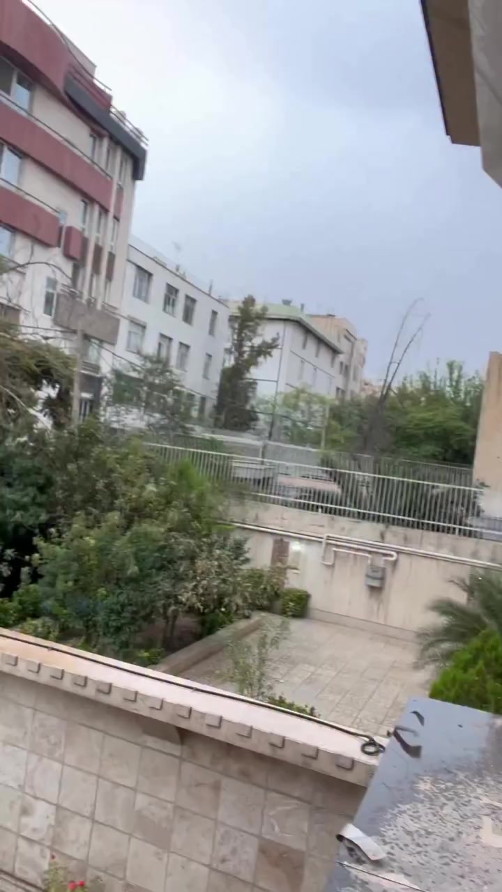 @rezajo81