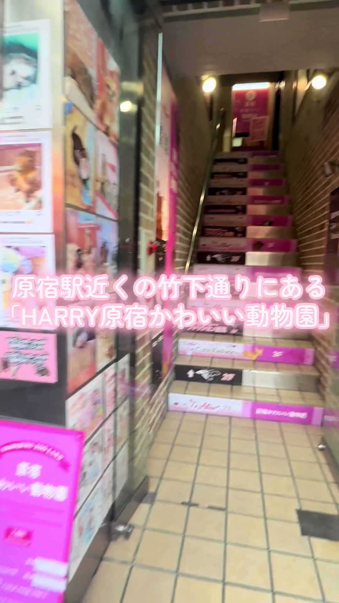 @HARRY原宿テラス
