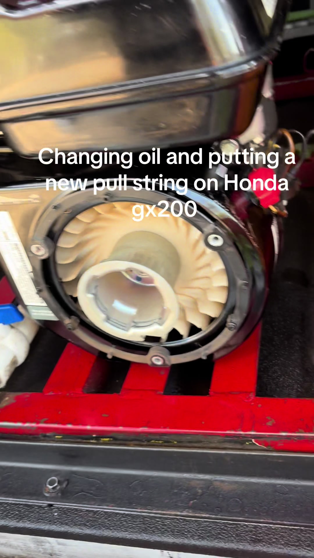 @806vipdetailing