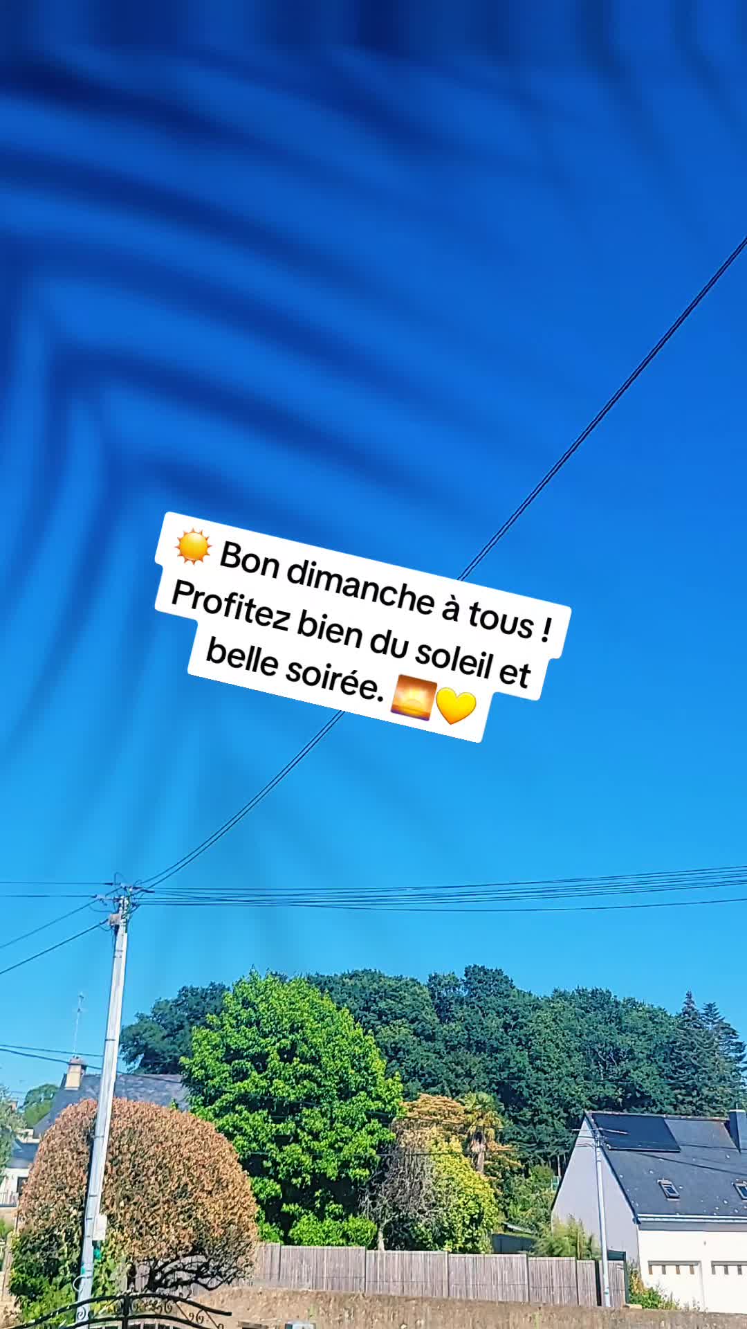 @Brunix