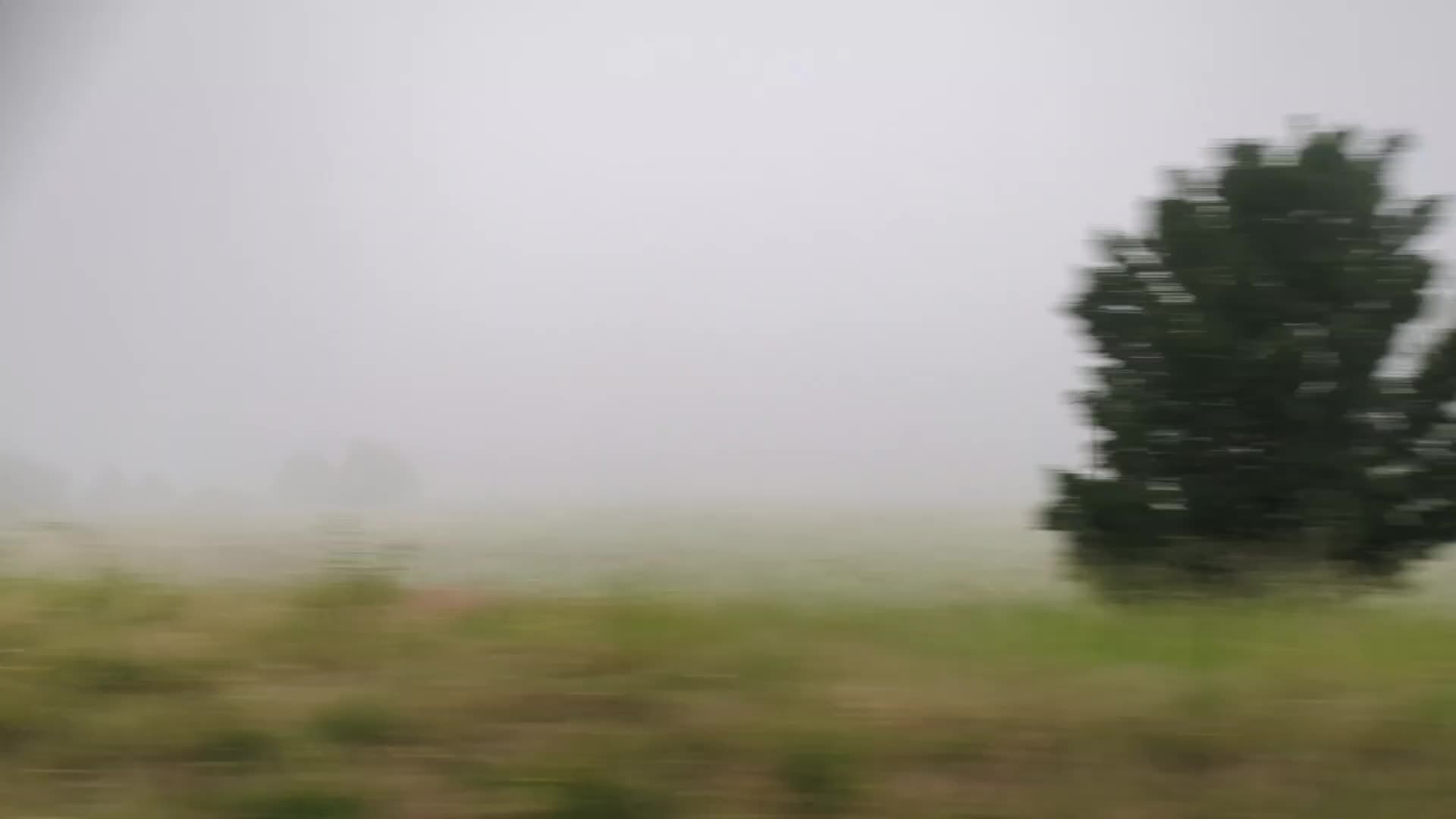 @феня☮︎