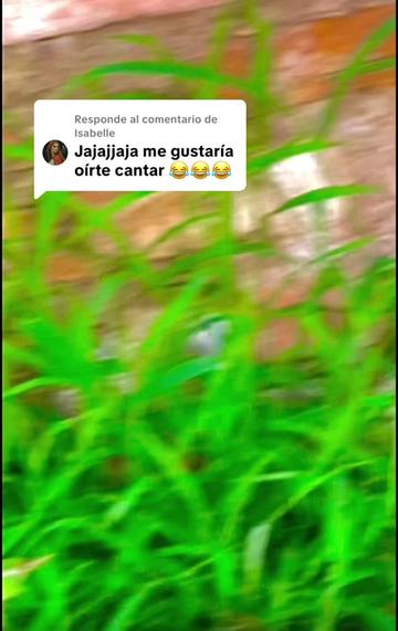 @soylaricanav