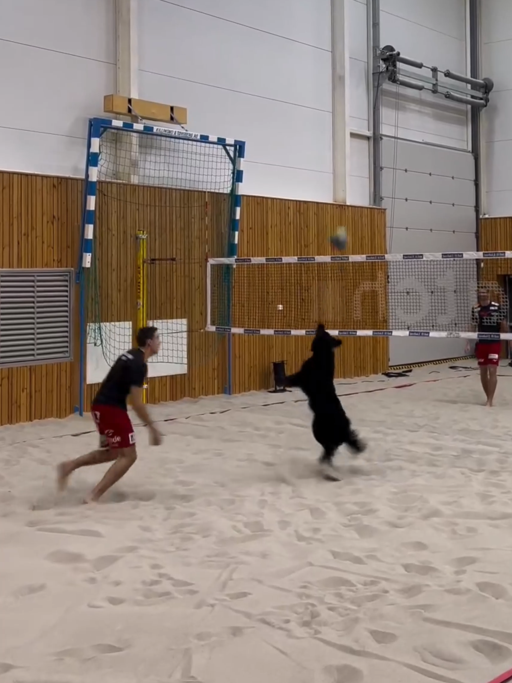 @CEV - European Volleyball
