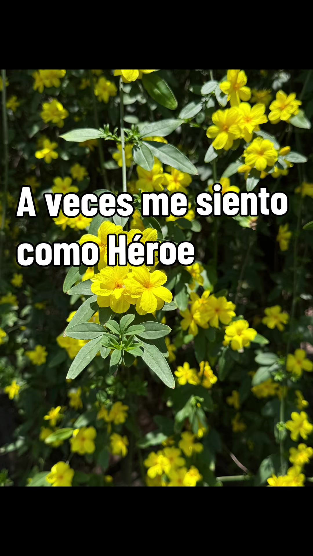 @Marilis