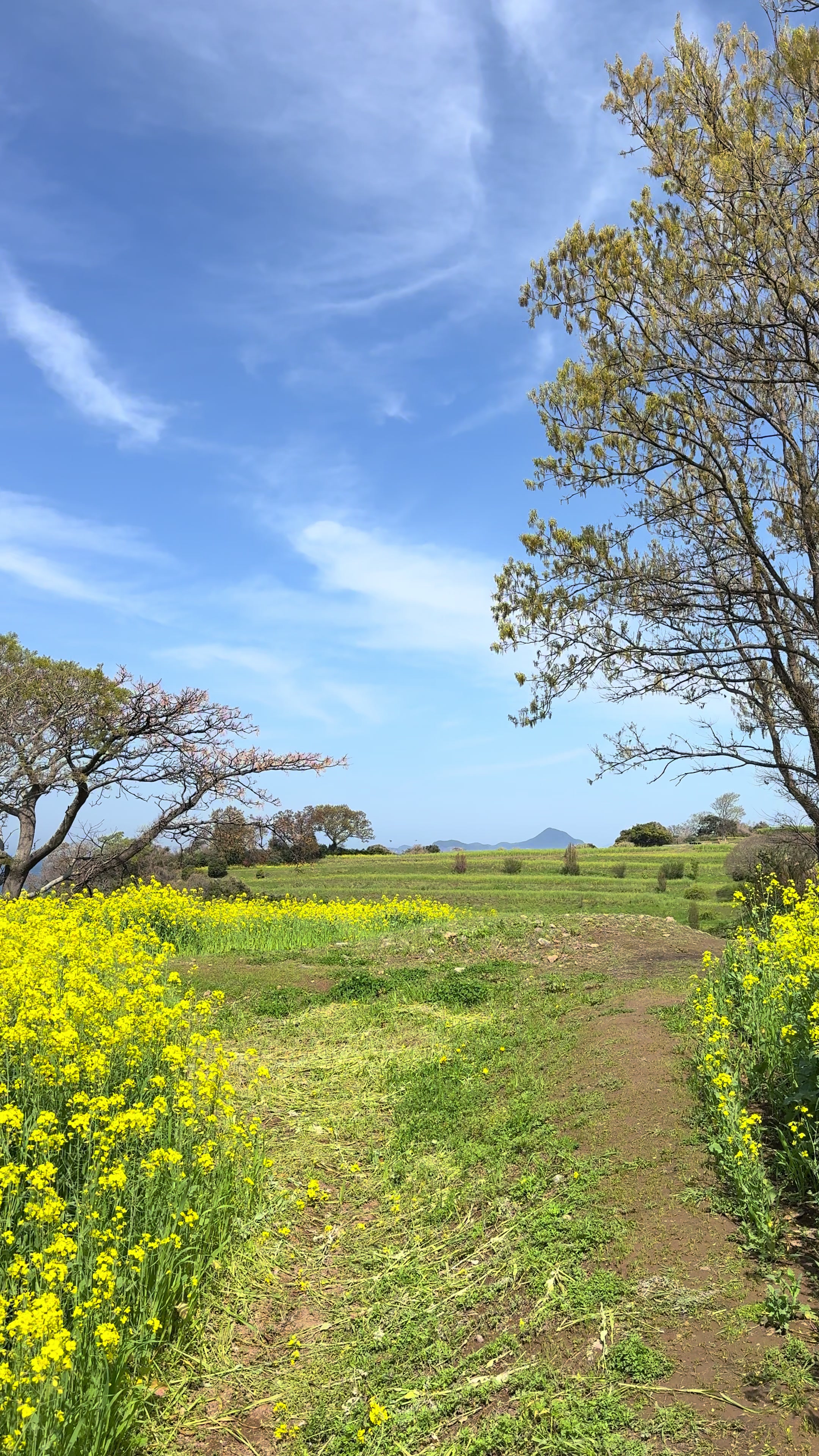 @甲山貴明 Takaaki Kohyama