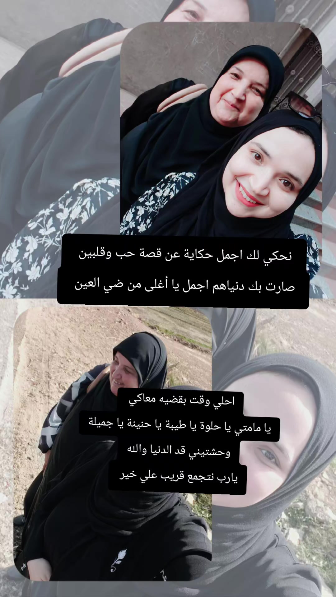 @Shrouk Mohamed