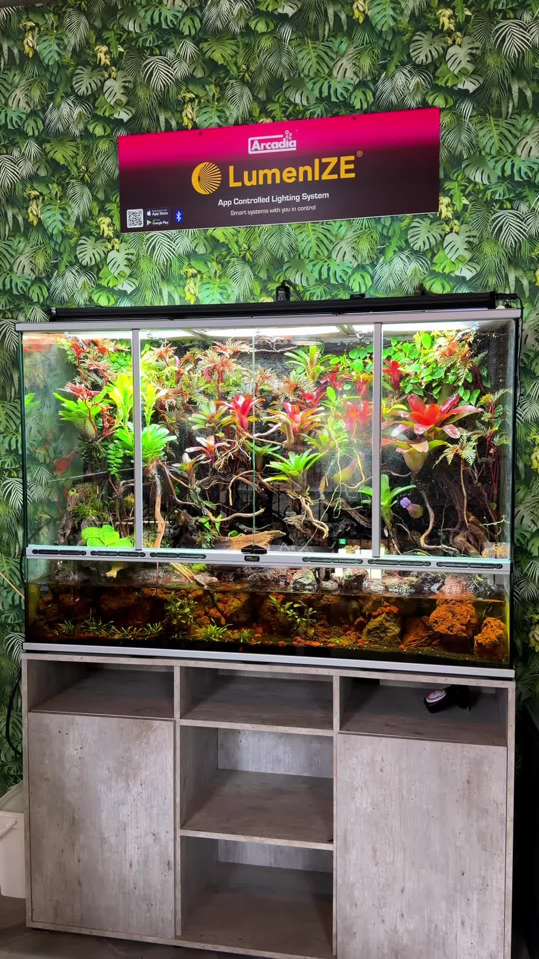 @Danny’s Aquariums