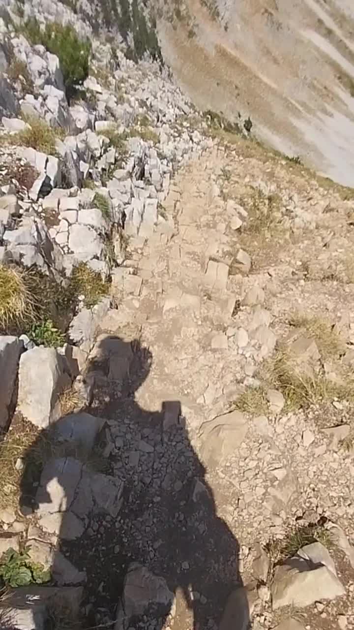 @wolfthebest