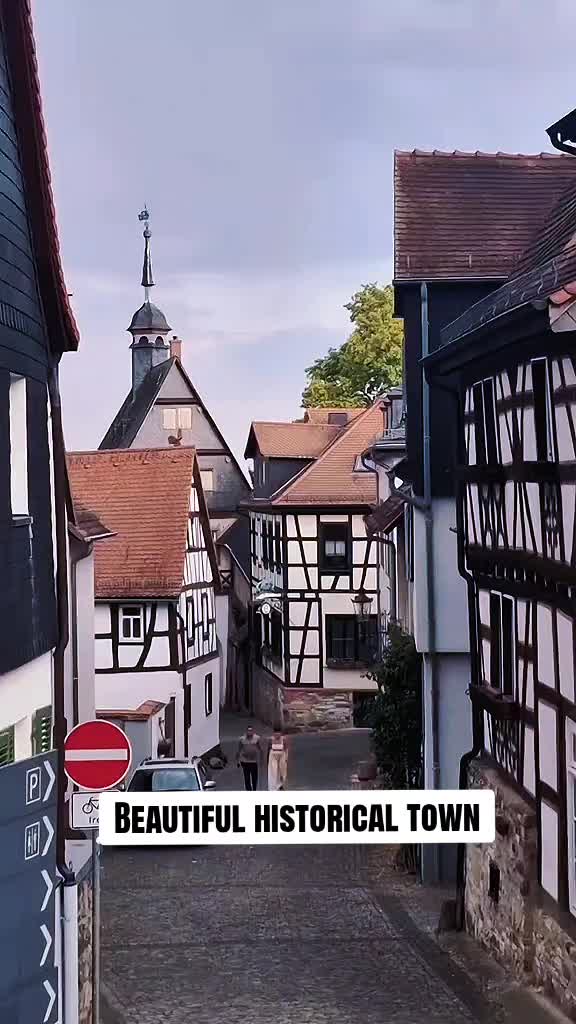 @🇩🇪🇫🇷Latina En Alemania🇭🇳