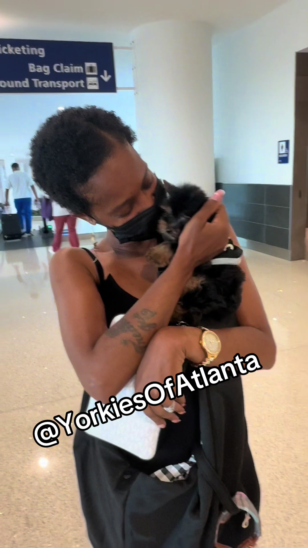 @Yorkies Of Atlanta