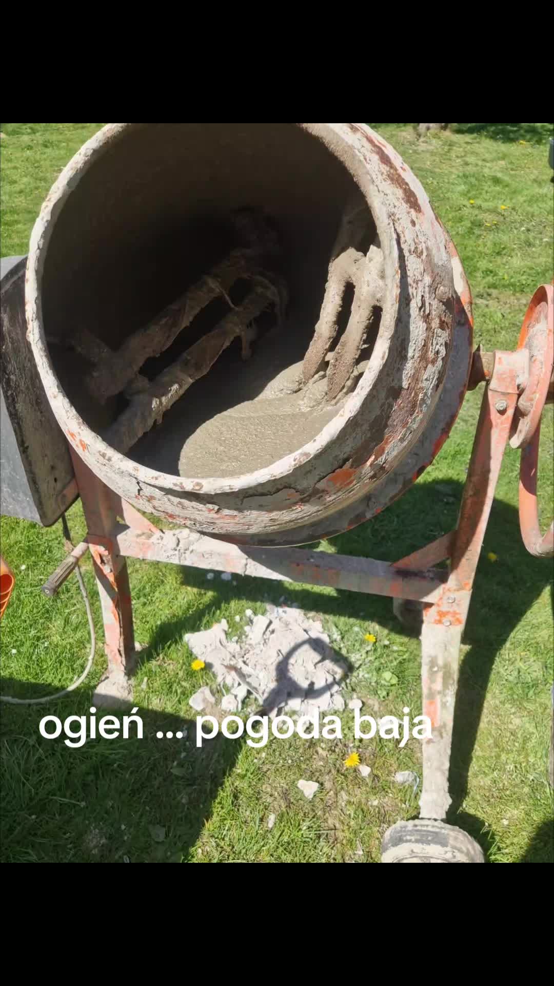 @seszunia