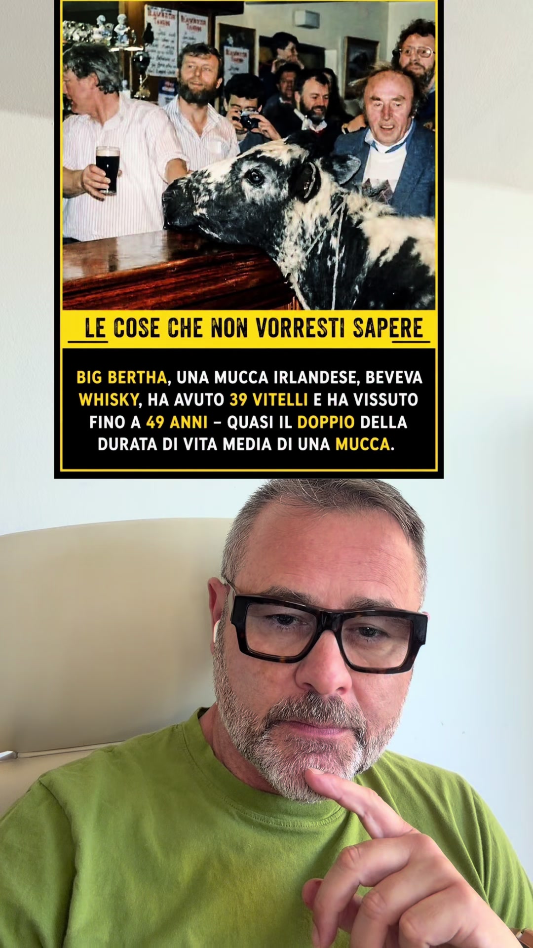 @Antonio Dimichele