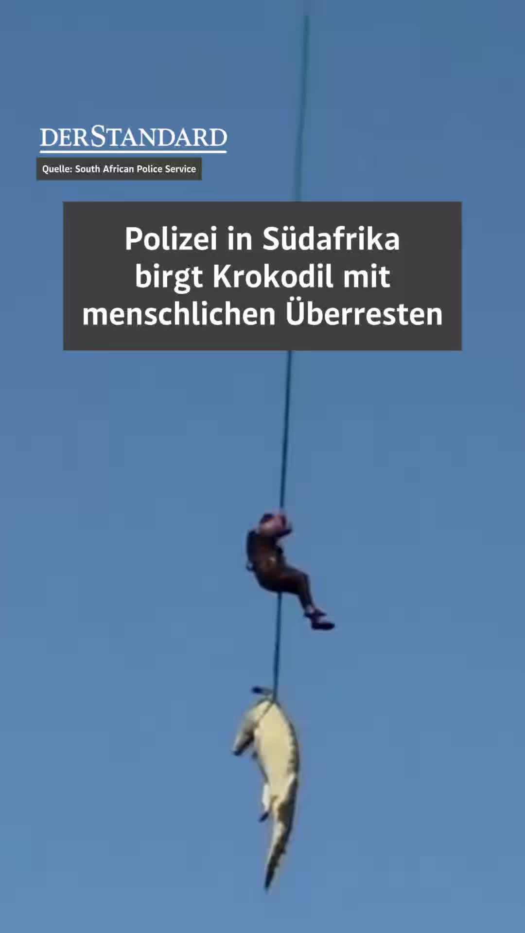 @DER STANDARD News