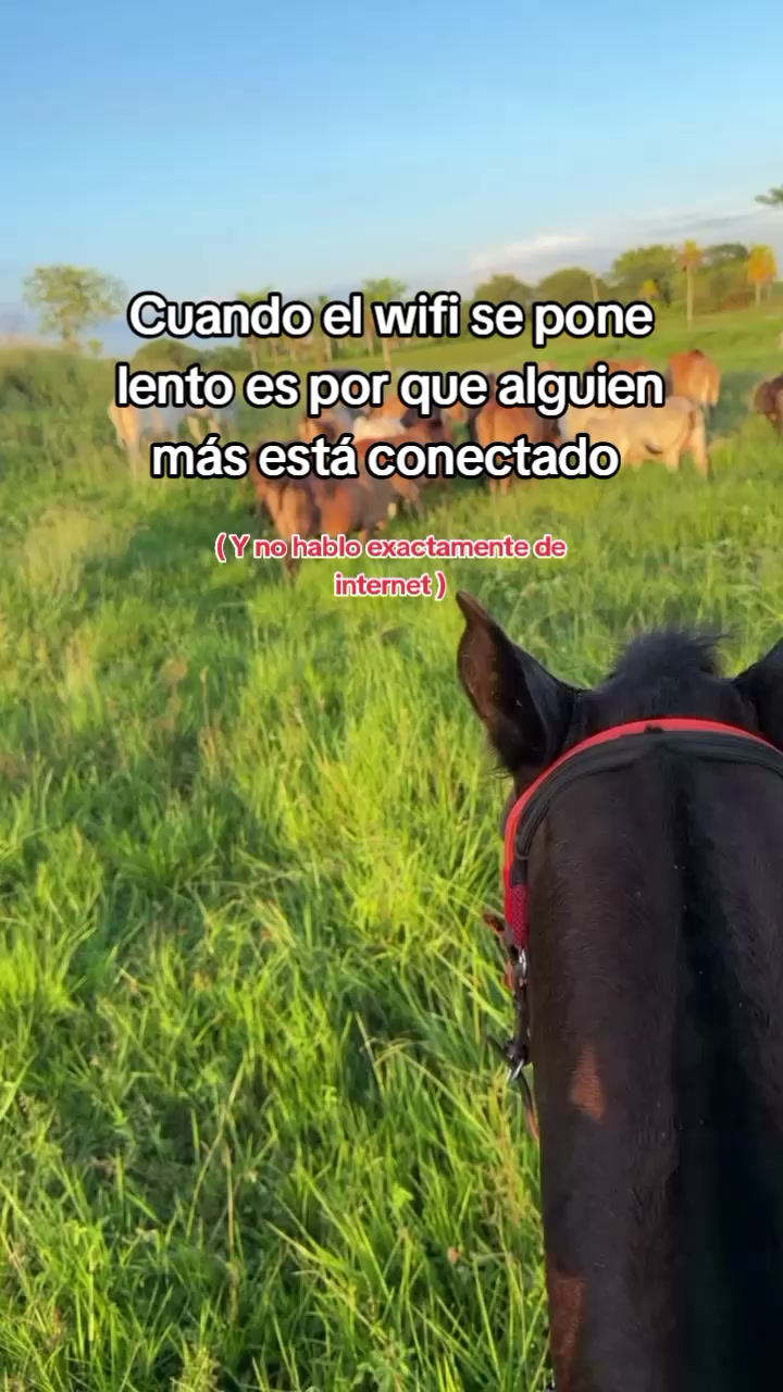 @Juan Meza