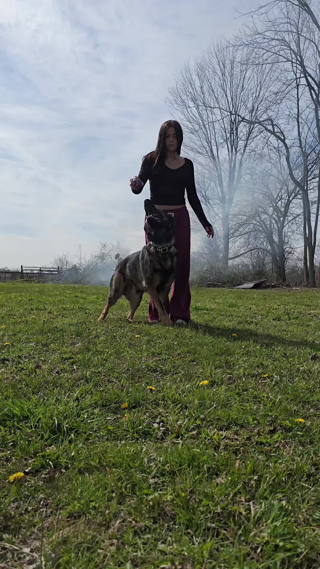 @Monster Made K9 Training💪🏽👹
