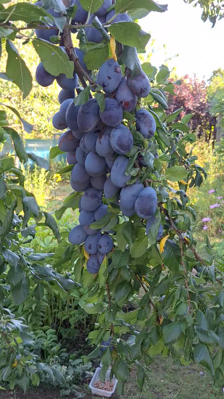 @Natur und Garten