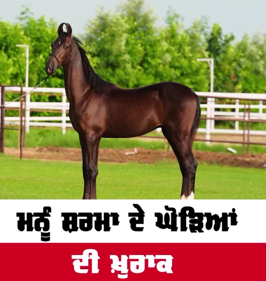 @bittuchakwala
