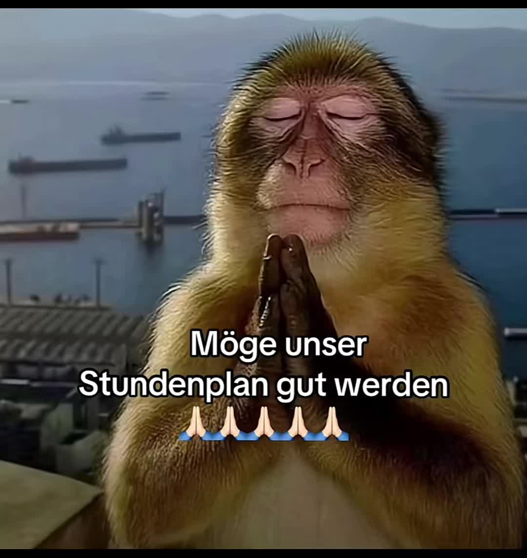 @M7Prime😶&zwj;🌫️