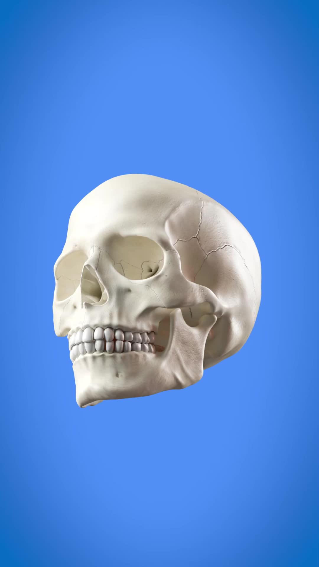 @FactТяу