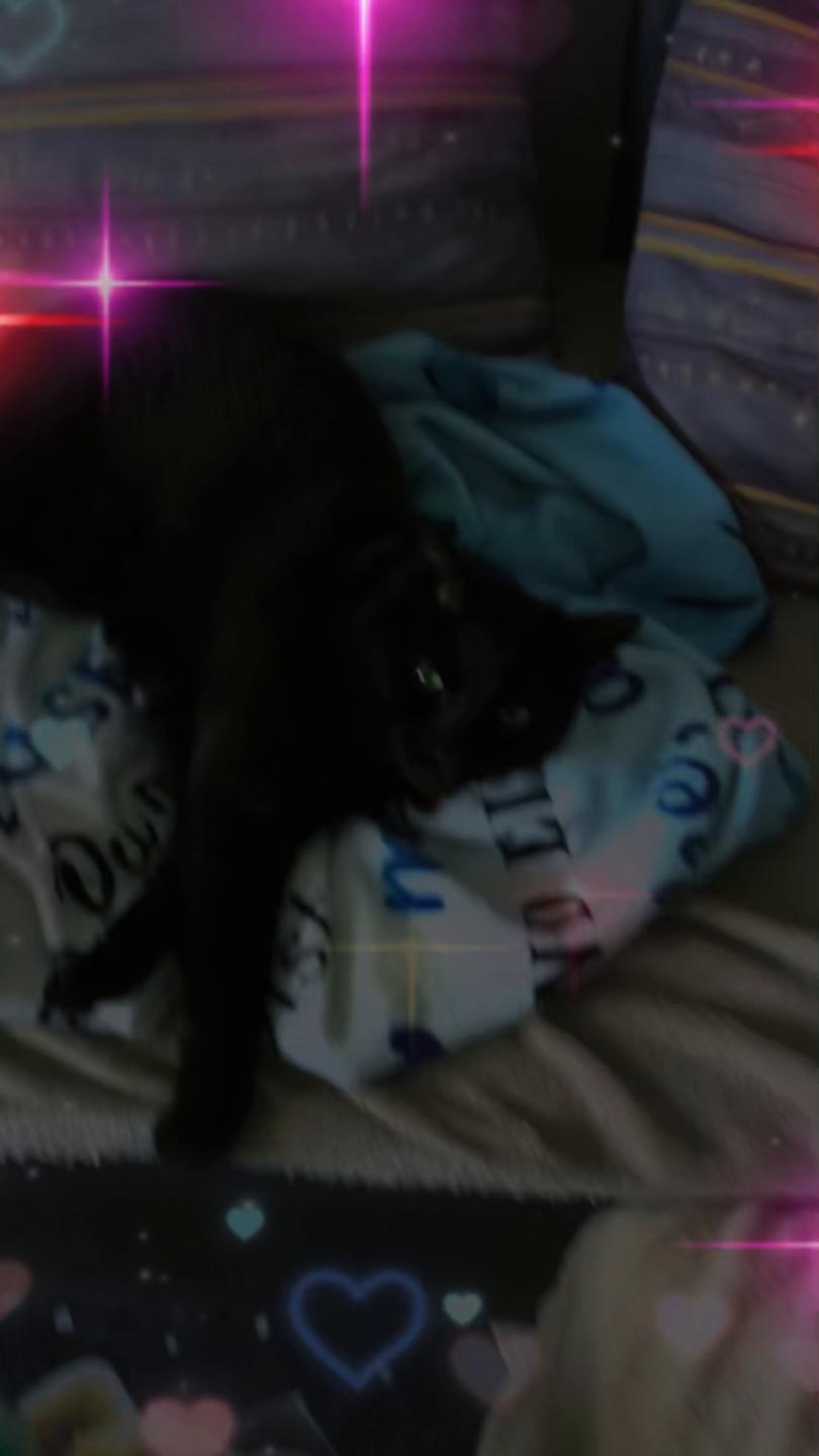 @Cat💙