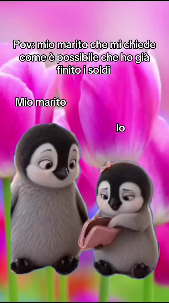 @6_voltemamma