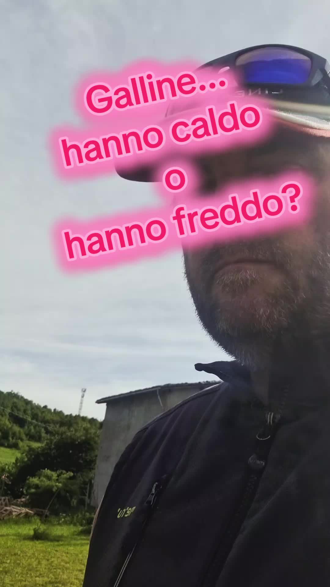 @Il leone e la gallina