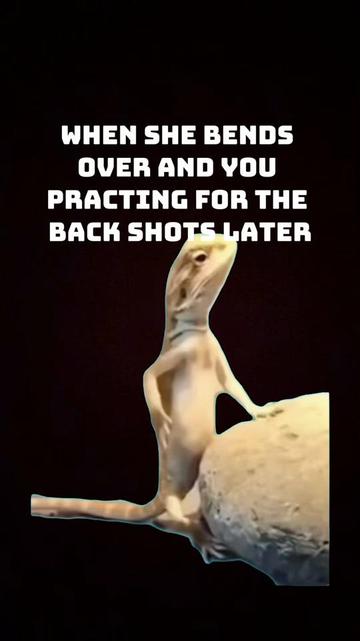 @Pluto Macintosh