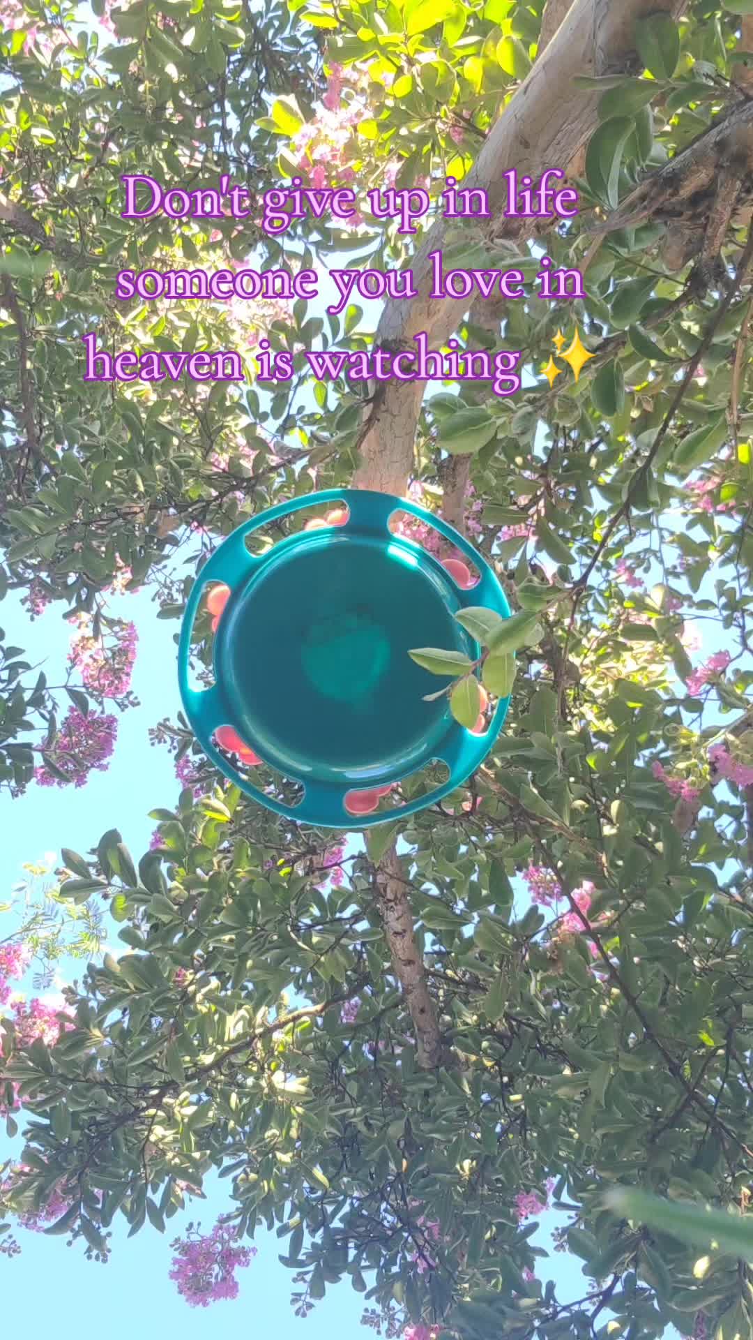 @Honeyyy🍯