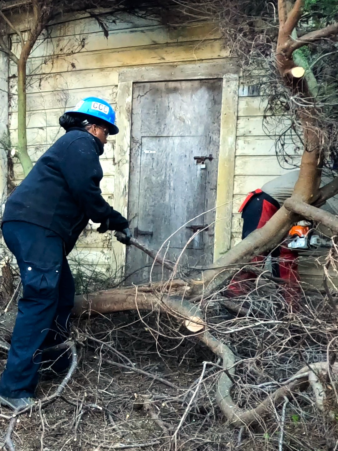@California Conservation Corps