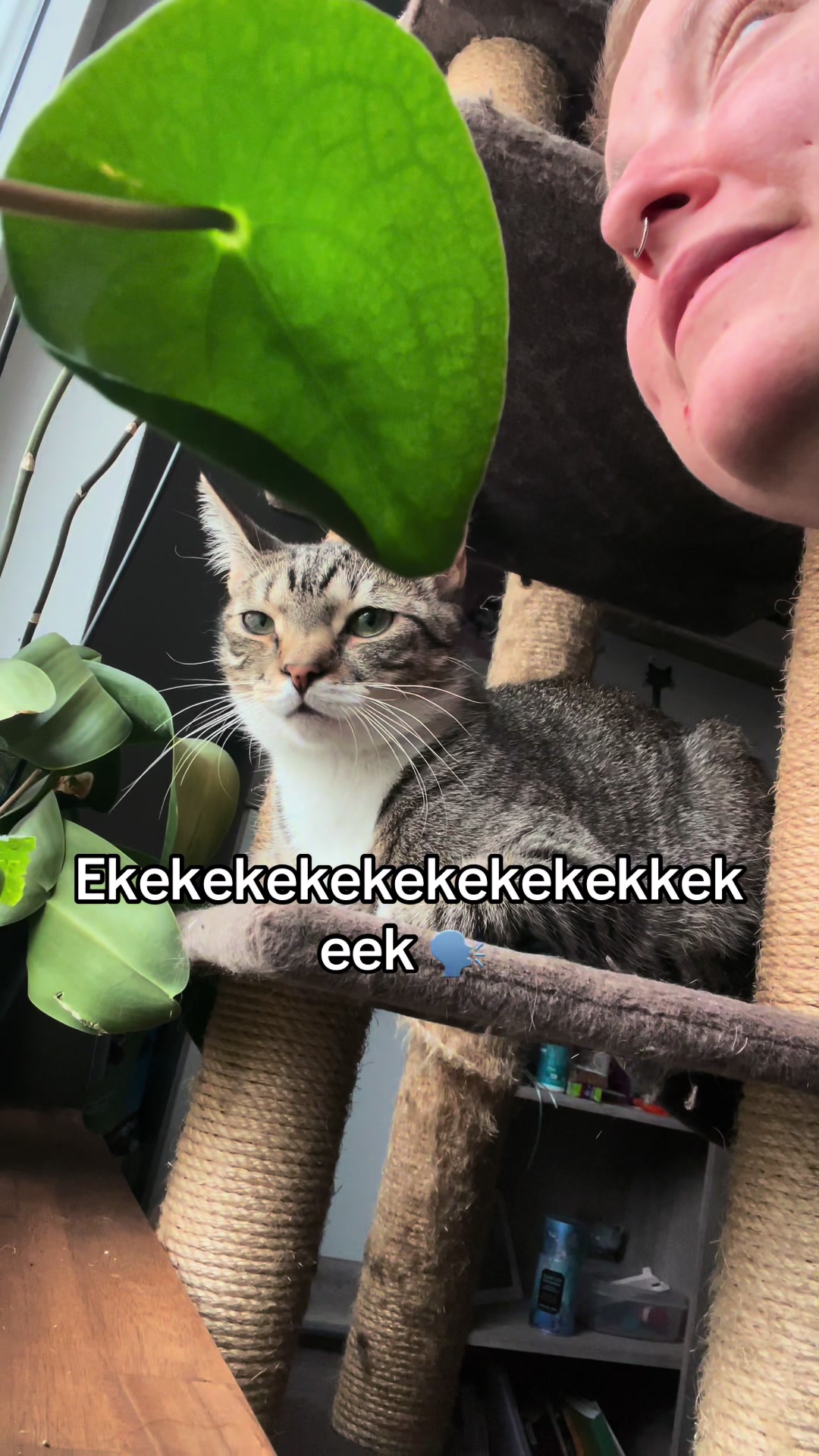 @Leah