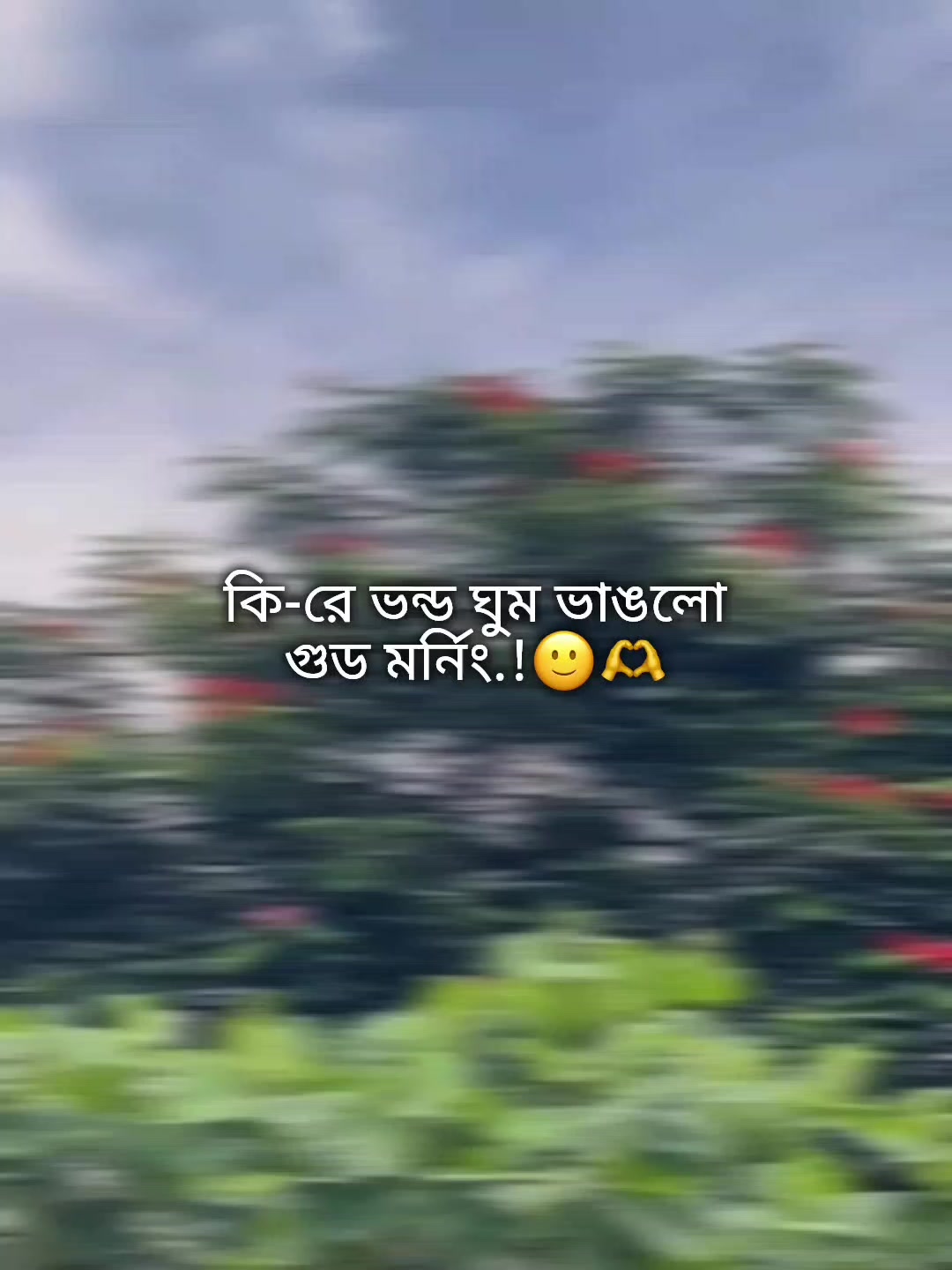 @𝐄𝐰’𝐫_𝐉𝐢𝐡𝐚𝐝_🖤🦋