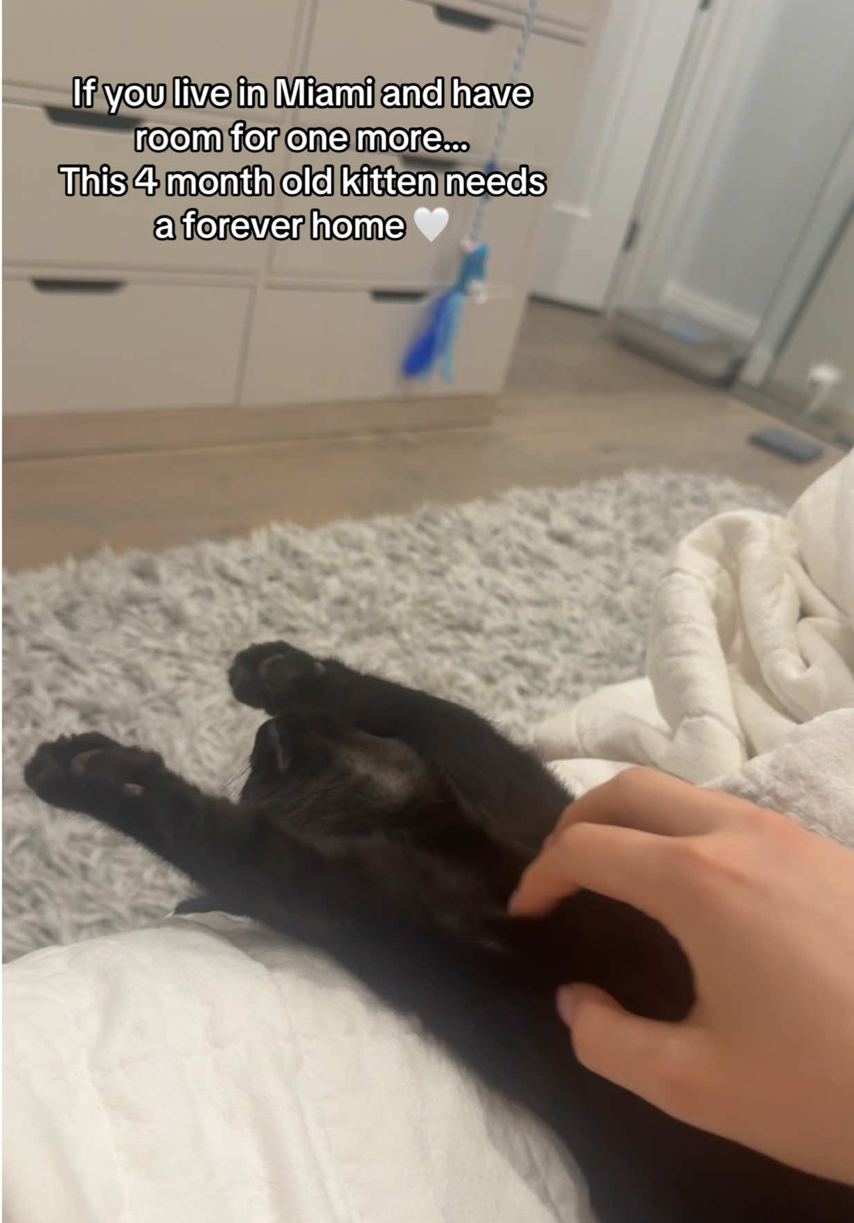 @Szasha