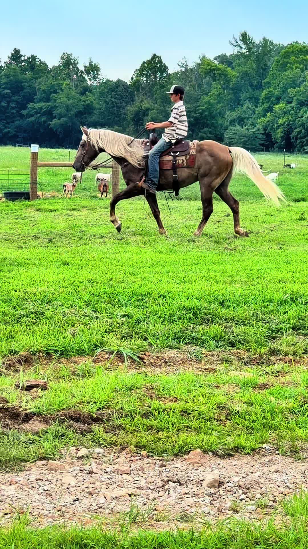 @Lucky D Ranch 🍀