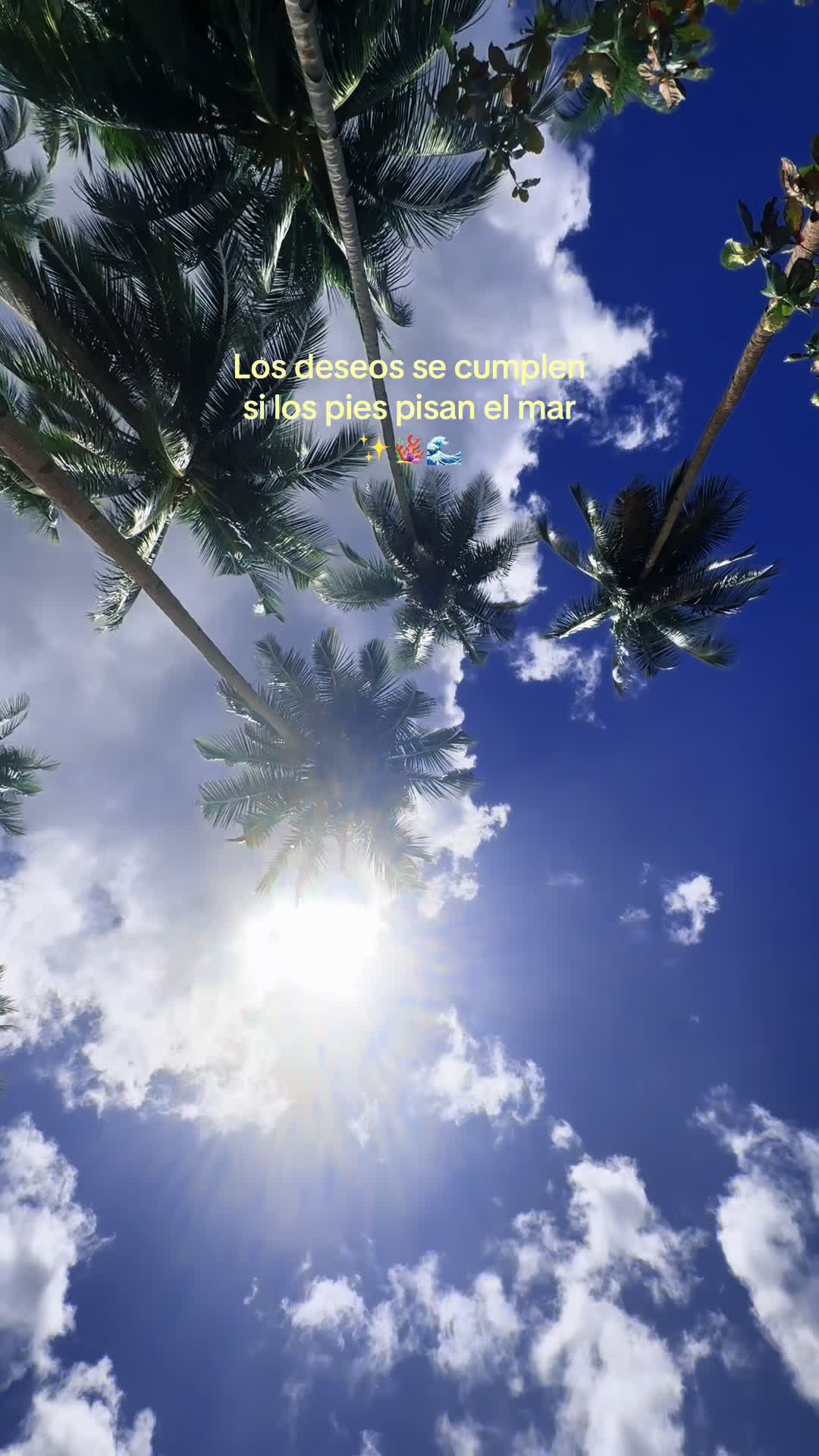 @Lucianah