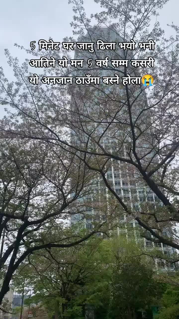 @Binisha❤️🇯🇵