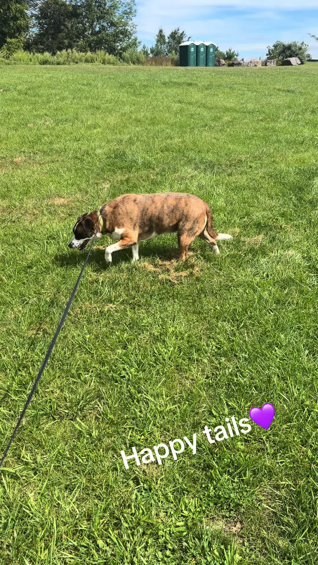 @🔥💜❌Happytails❌💜🔥
