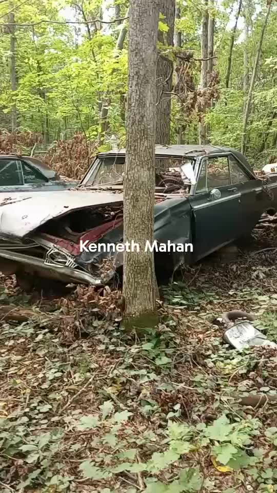@kennethmahan822