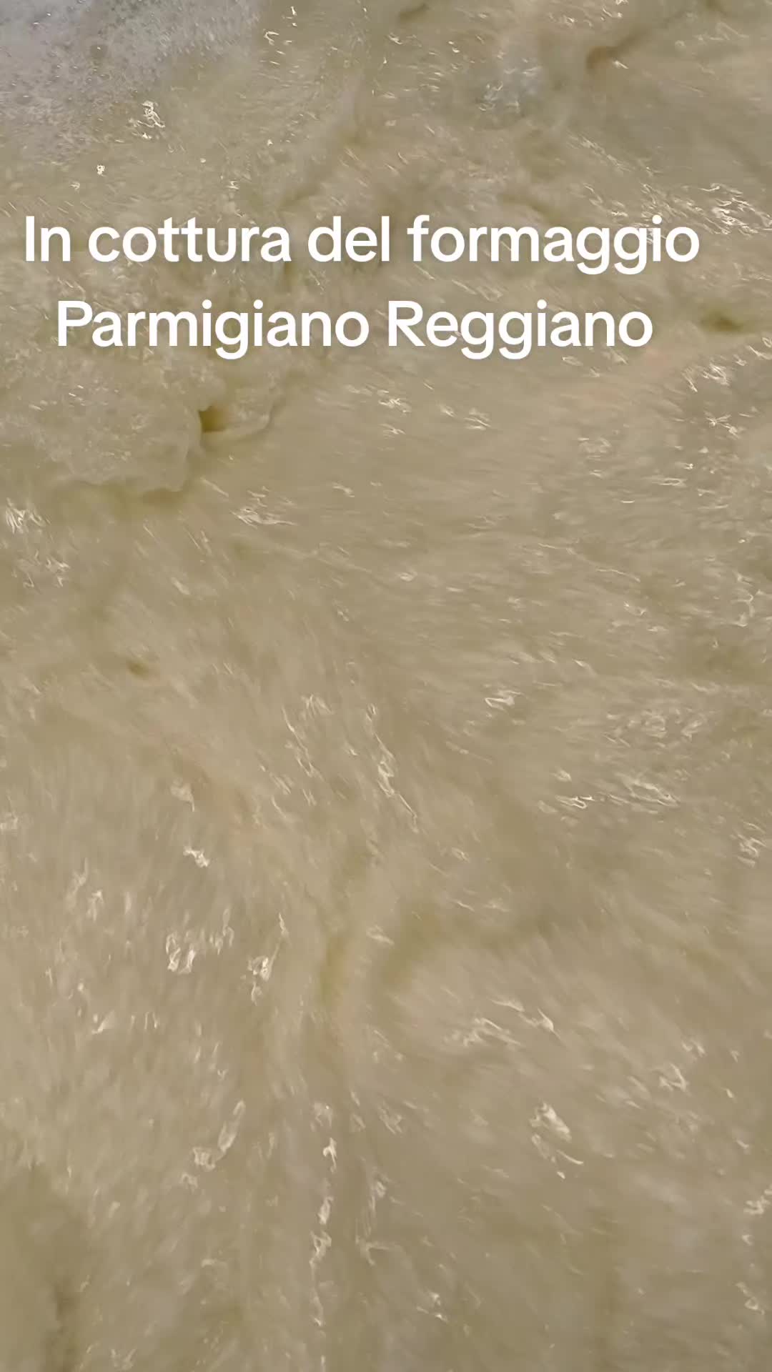 @antoniocasaroricc
