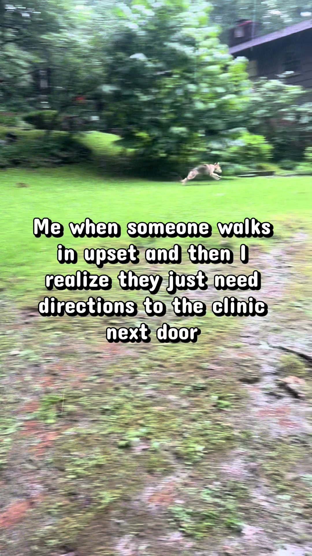 @miscellaneousdrmom