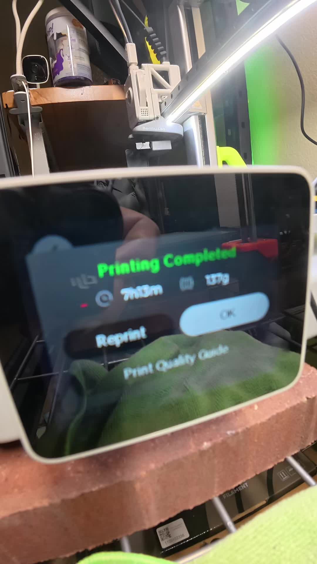 @B1onic T3ddy