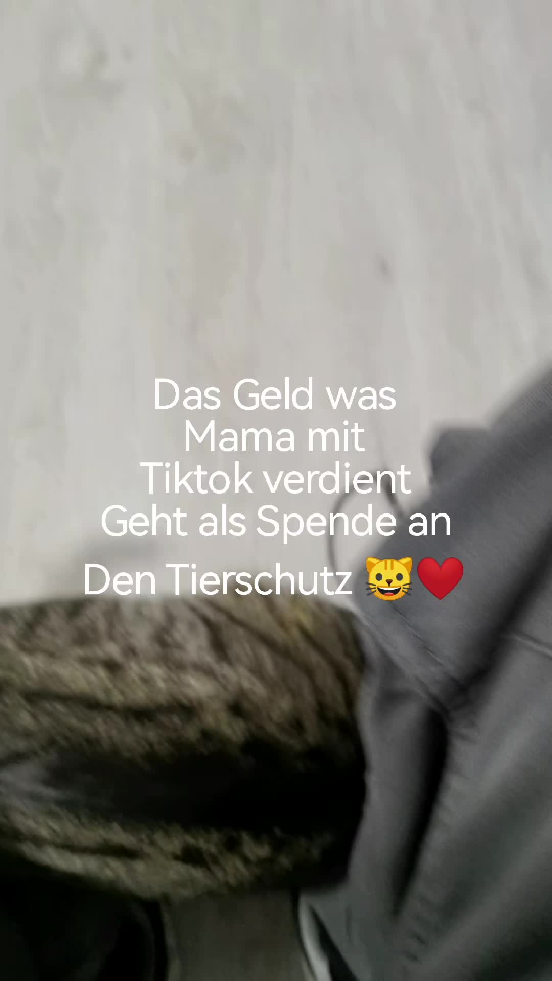 @juli🇩🇪🇺🇸🇷🇺