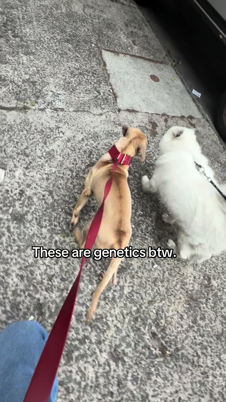 @🎭