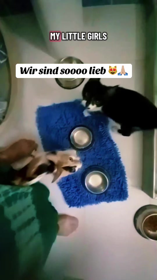@BluePanther💙