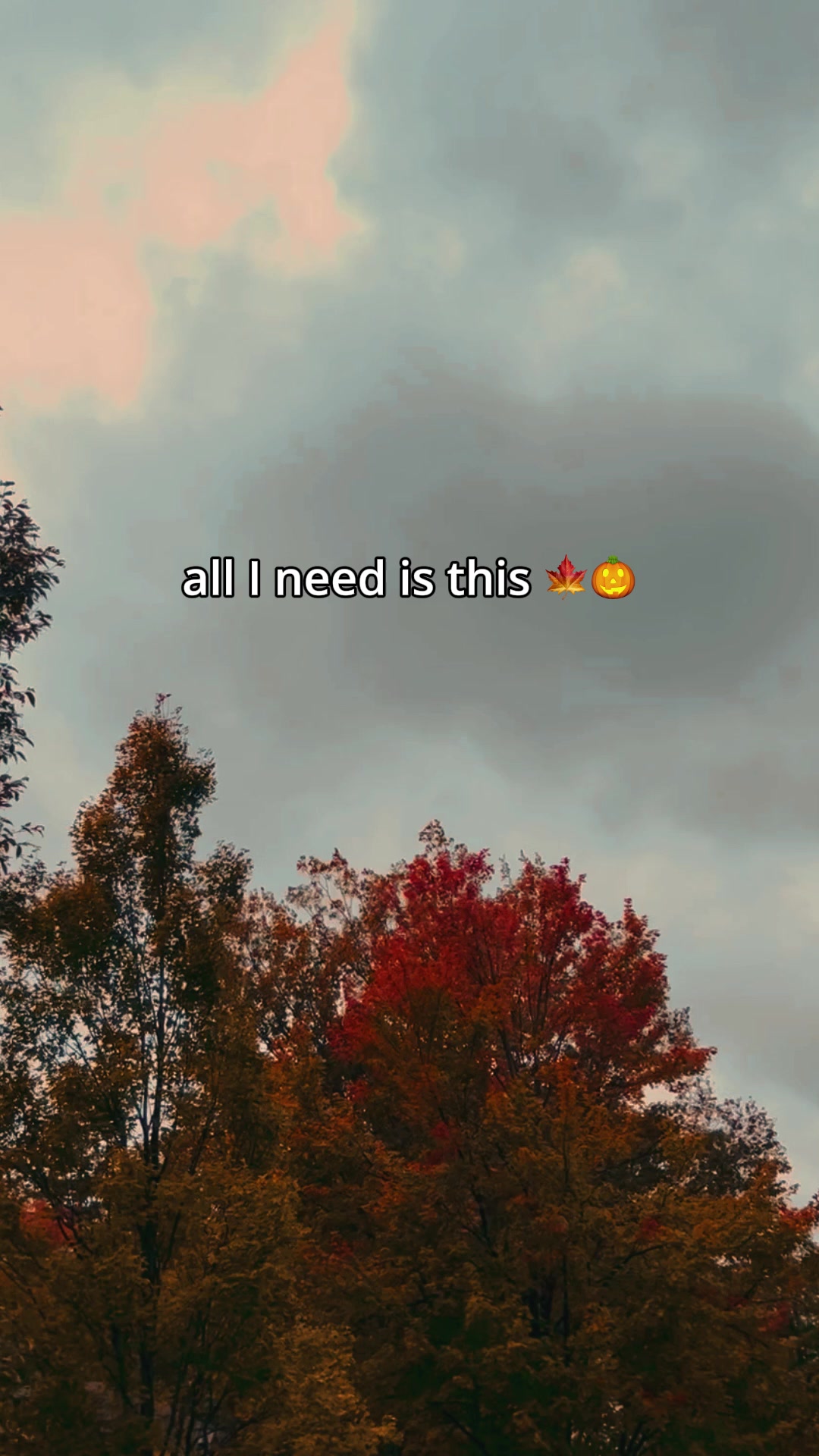 @abitspooky
