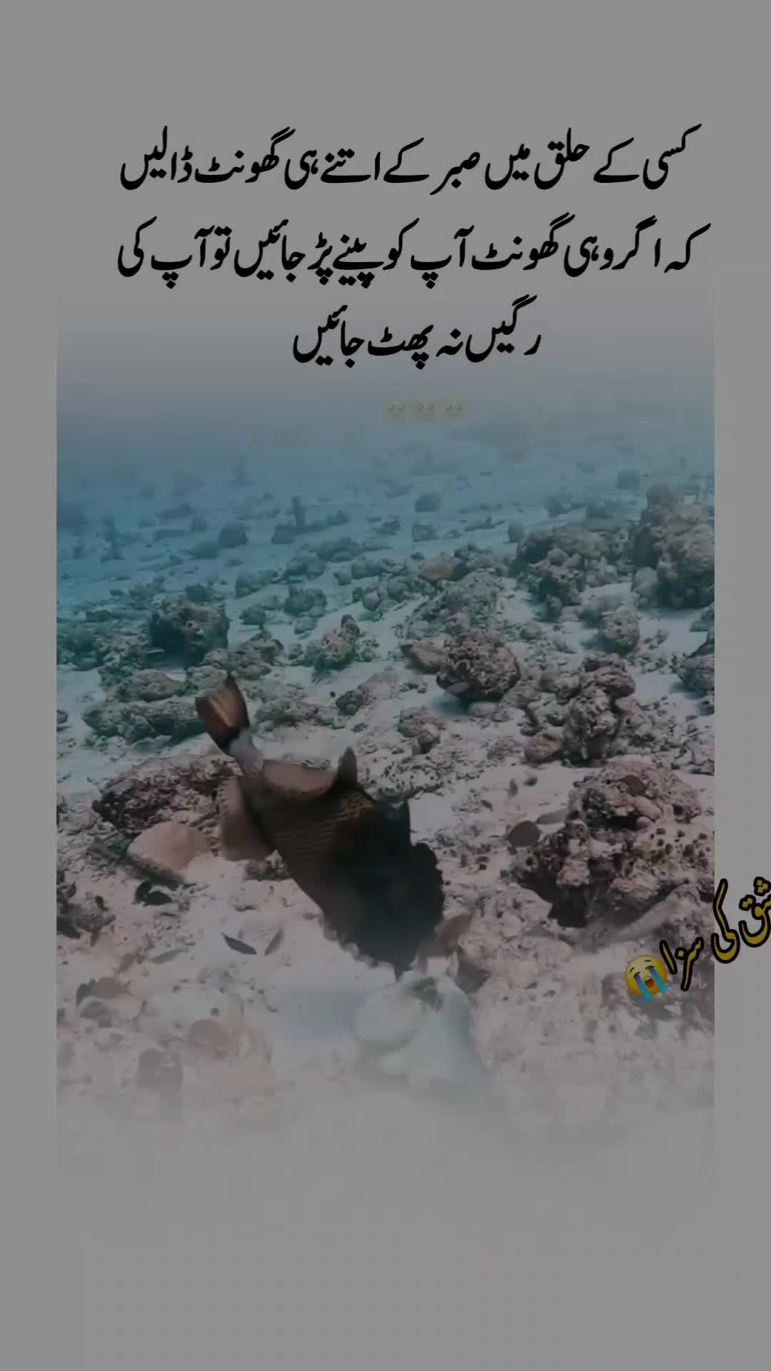 @😭عشق کی سزا 💔